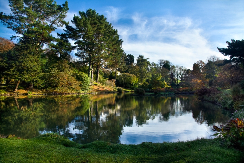 Marwood Hill Garden